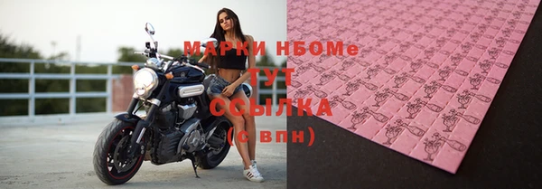 хмурый Арсеньев