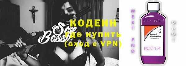 хмурый Арсеньев