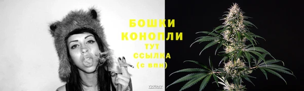 крисы Рославль