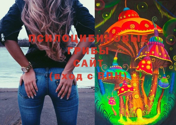ГАЛЛЮЦИНОГЕННЫЕ ГРИБЫ Балабаново