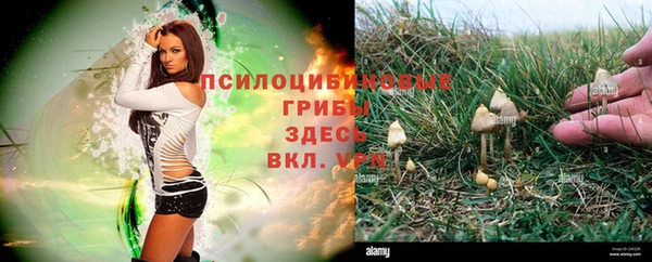 ГАЛЛЮЦИНОГЕННЫЕ ГРИБЫ Балабаново