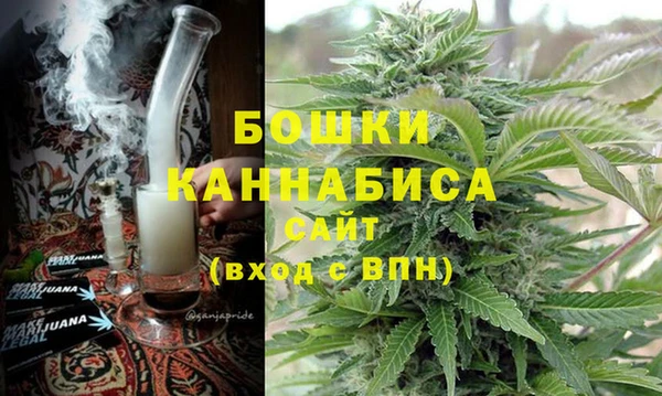 Альфа ПВП Аркадак