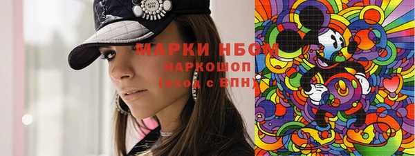хмурый Арсеньев