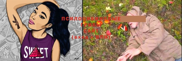 ГАЛЛЮЦИНОГЕННЫЕ ГРИБЫ Балабаново