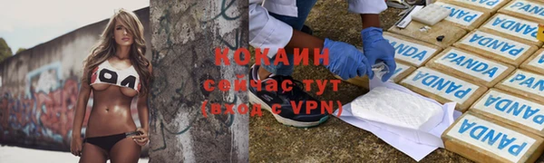 хмурый Арсеньев