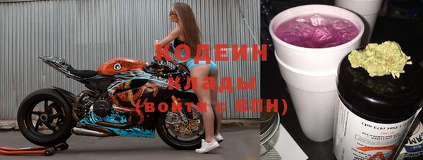 хмурый Арсеньев