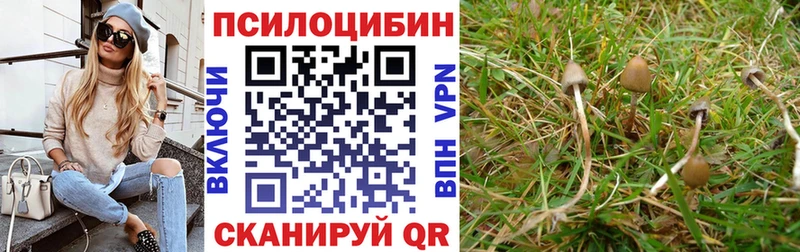 Галлюциногенные грибы Magic Shrooms  Боровичи 