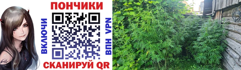 Бошки Шишки White Widow  Боровичи 